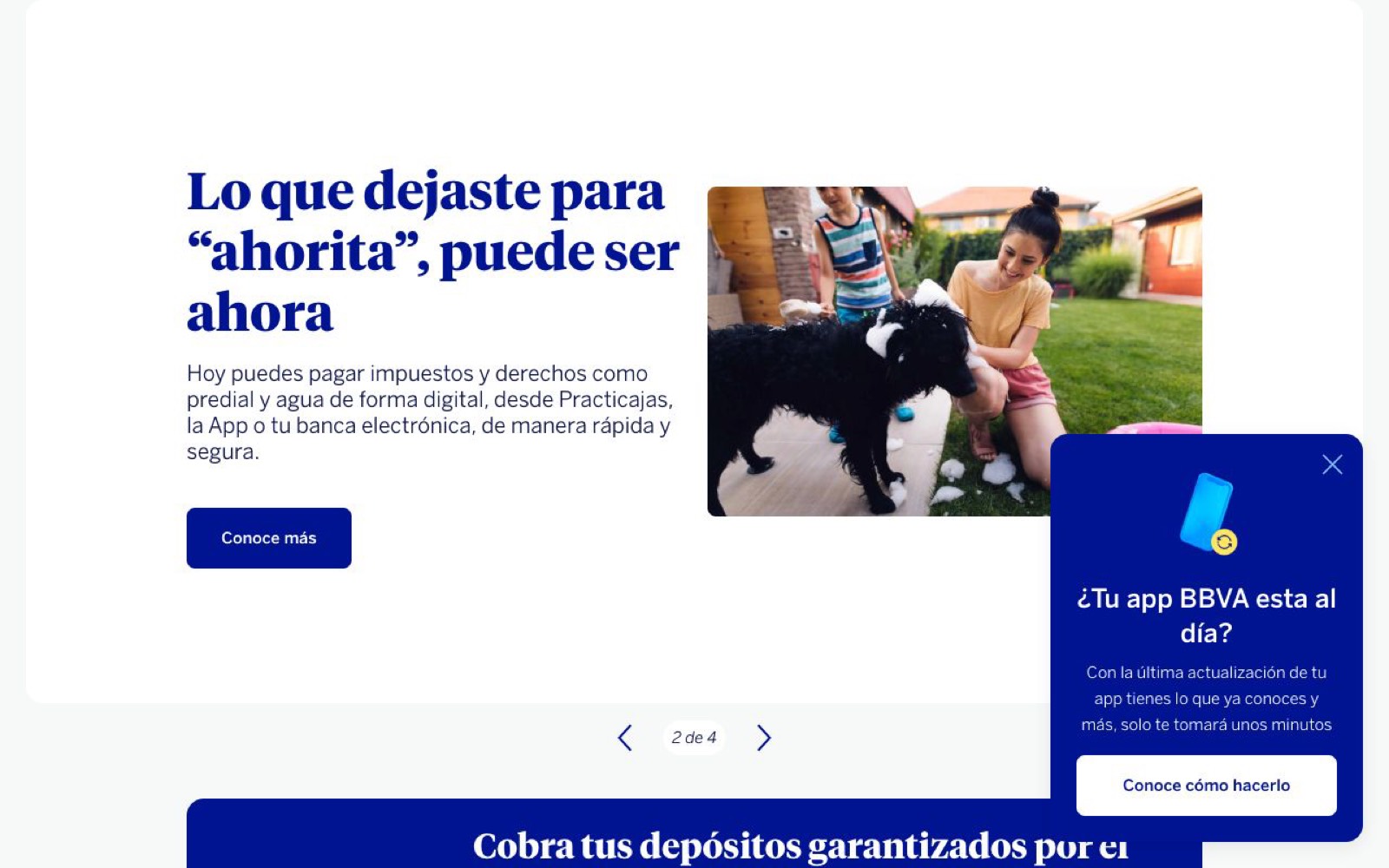 Guía práctica en México: Bank Transfer
