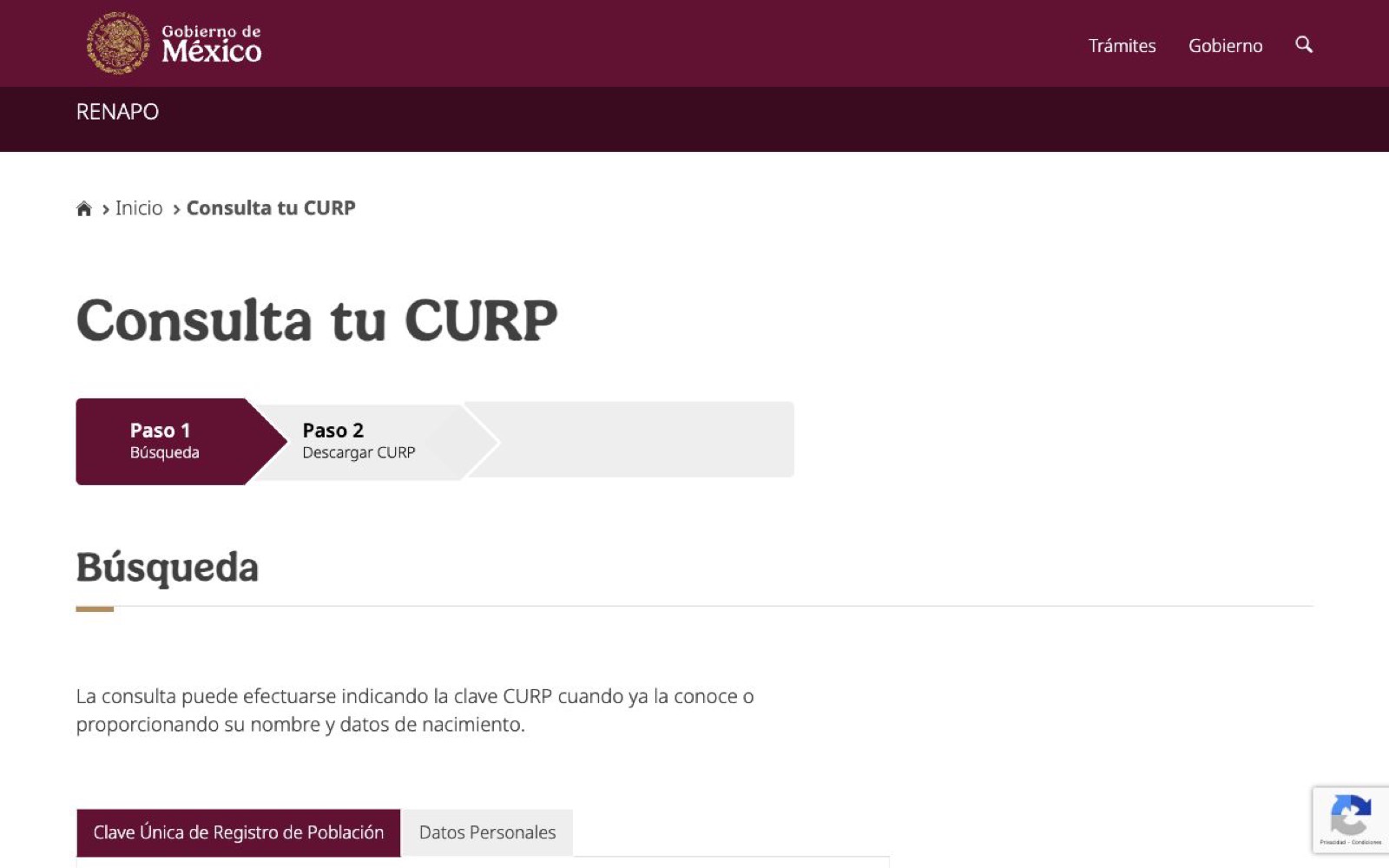 Qué es la CURP en México y cómo la obtiene una persona extranjera