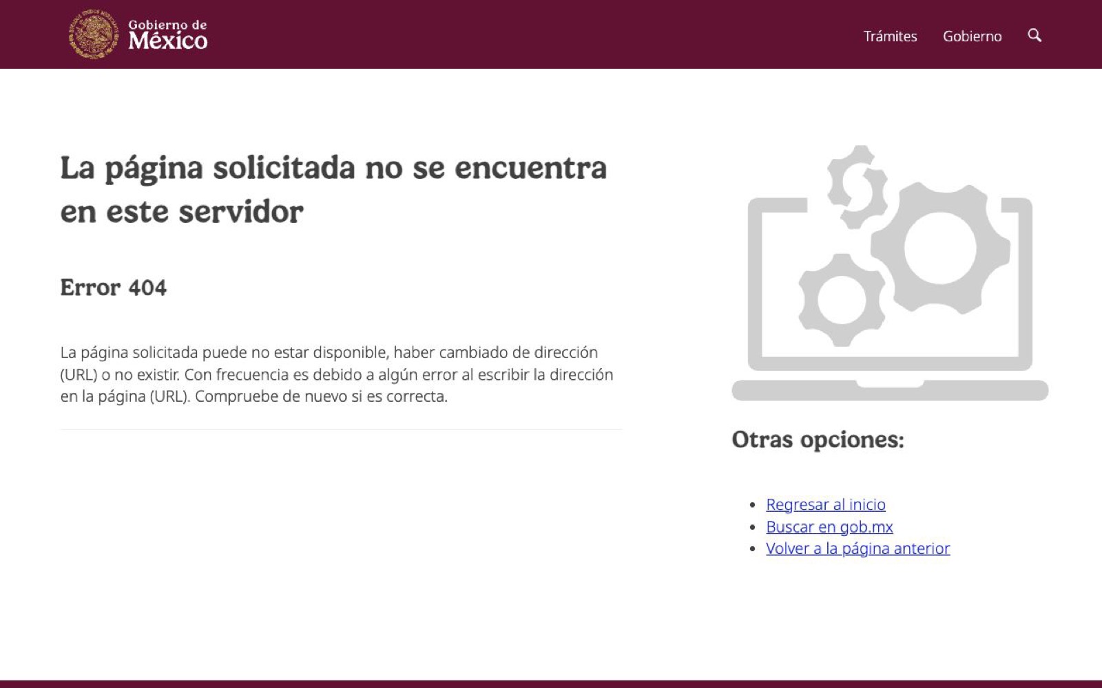 Guía de Aduanas en México: Cómo Importar y Pedimento