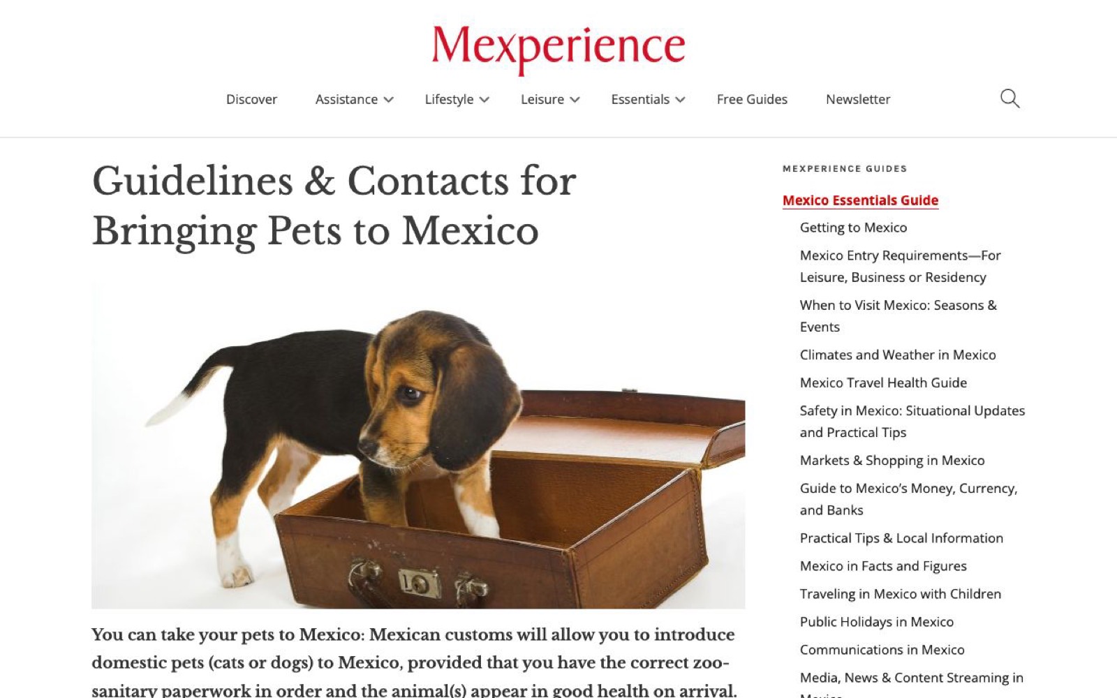 Guía para ingresar y cuidar mascotas en México