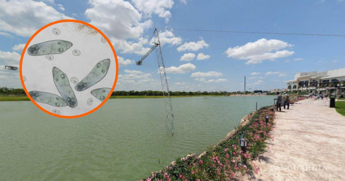Detectan ameba ‘comecerebros’ en seis lagos artificiales de Mérida; restringen acceso