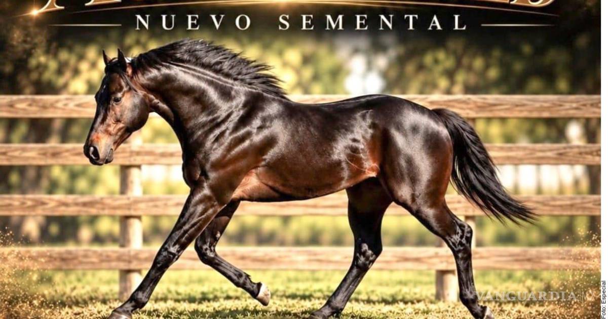 Empresario de NL señalado en EU por vínculos con el narco compra caballo Cuarto de Milla por casi un millón de dólares