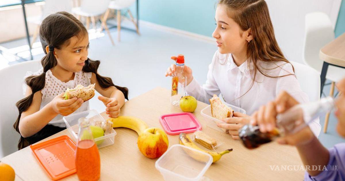 SCJN valida restricciones a la venta de comida chatarra en escuelas y universidades