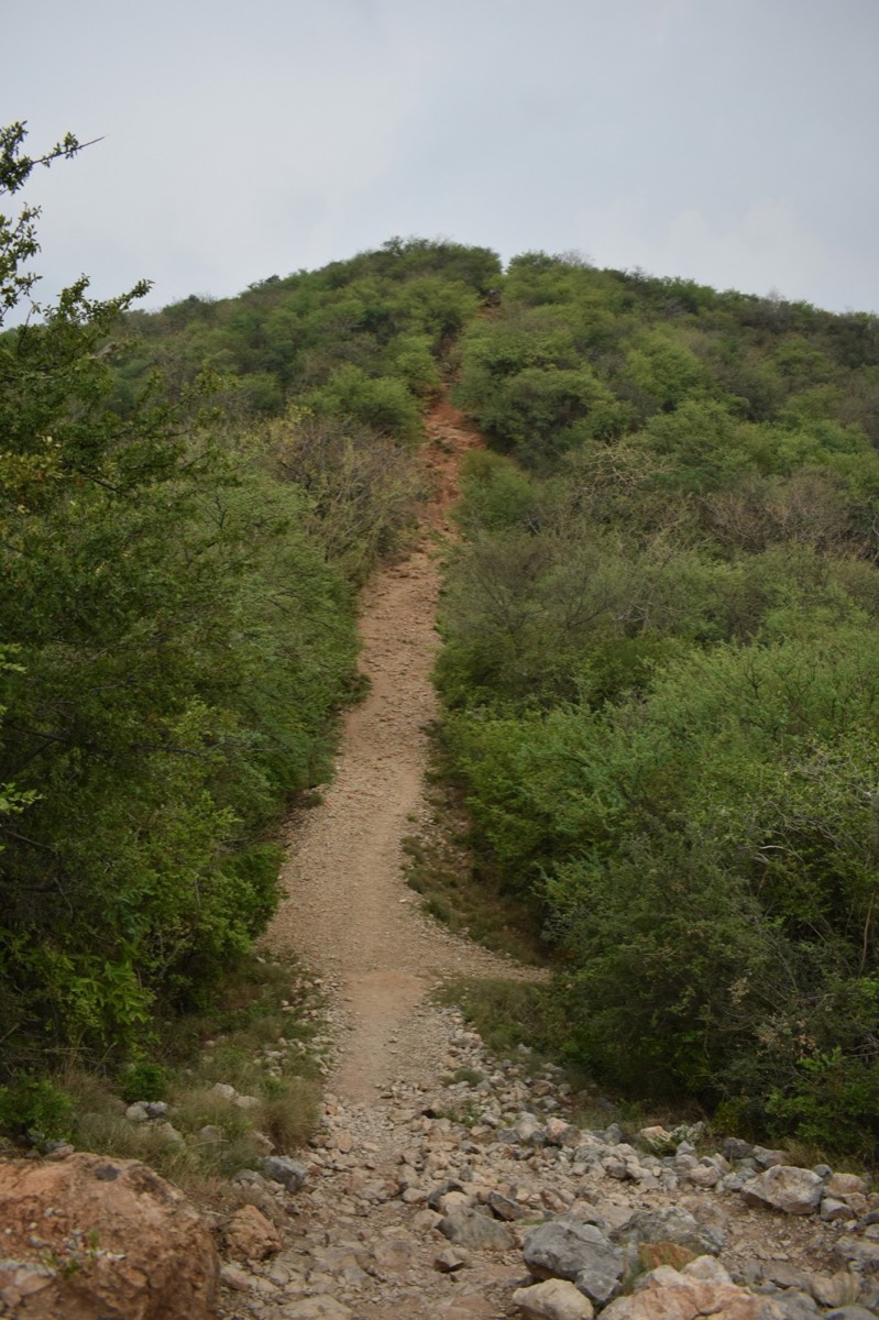 Monterrey